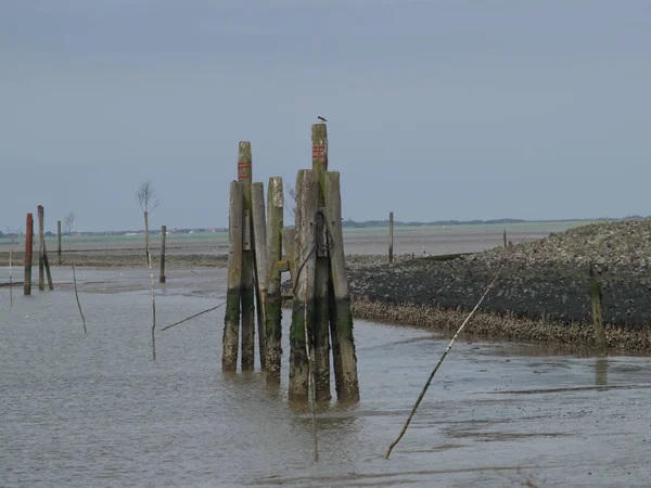 Plage Langeoog Dans Mer Nord Allemande — Photo
