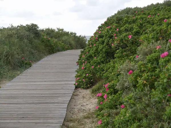 Playa Langeoog Mar Del Norte Alemán — Foto de Stock