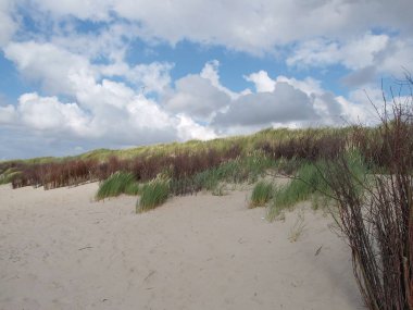 Alman kuzey denizindeki Langeoog plajı.