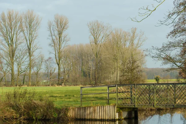 Slottet Gemen Tyskland — Stockfoto