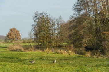 Almanya'da gemen Castle
