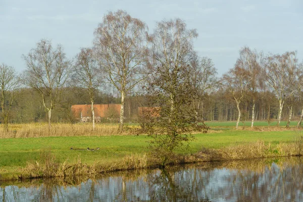 Slottet Gemen Tyskland — Stockfoto