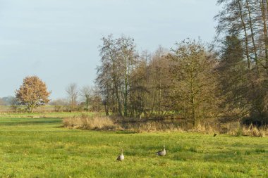 Almanya'da gemen Castle