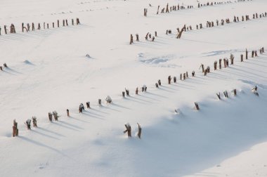 Alman Muensterland 'inde kış mevsimi