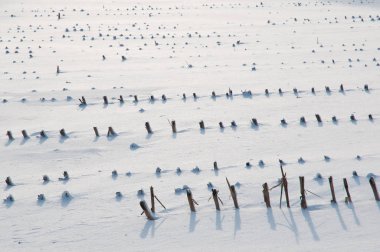 Alman Muensterland 'inde kış mevsimi