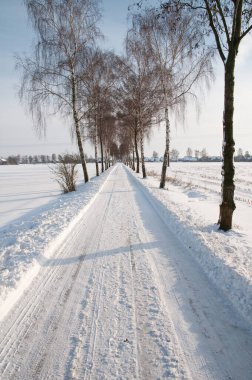 Alman Muensterland 'inde kış mevsimi