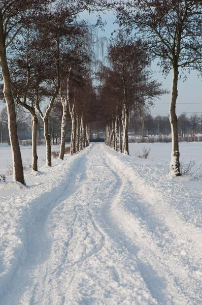 Czas Zimowy Niemieckiej Muensterland — Zdjęcie stockowe