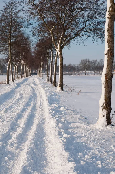 Heure Hiver Dans Pays Des Muentins Allemand — Photo