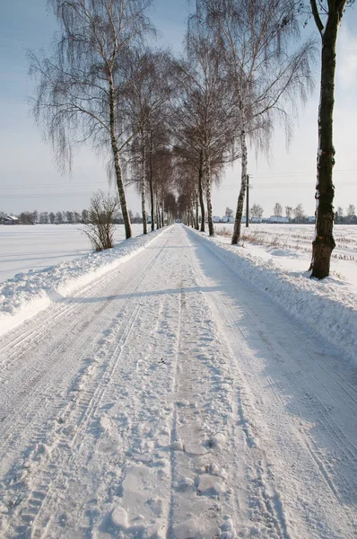 Heure Hiver Dans Pays Des Muentins Allemand — Photo