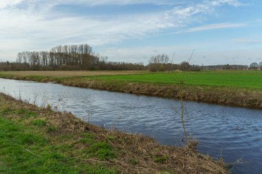 Alman Muensterland 'inde bahar vakti güneşli bir gün.,