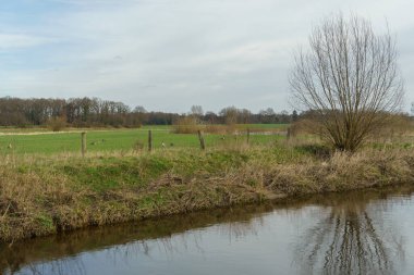 Alman Muensterland 'inde bahar vakti güneşli bir gün.,