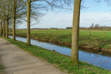 Alman Muensterland 'inde bahar vakti güneşli bir gün.,