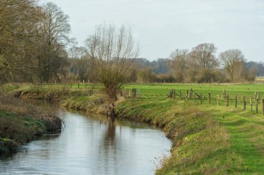 Alman Muensterland 'inde bahar vakti güneşli bir gün.,