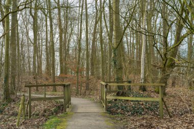 Alman Muensterland 'inde bahar vakti güneşli bir gün.,