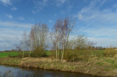 Alman Muensterland 'inde bahar vakti güneşli bir gün.,
