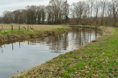 Alman Muensterland 'inde bahar vakti güneşli bir gün.,