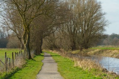 Alman Muensterland 'inde bahar vakti güneşli bir gün.,