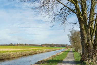 Alman Muensterland 'inde bahar vakti güneşli bir gün.,