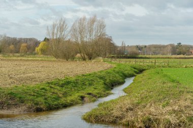 Alman Muensterland 'inde bahar vakti güneşli bir gün.,