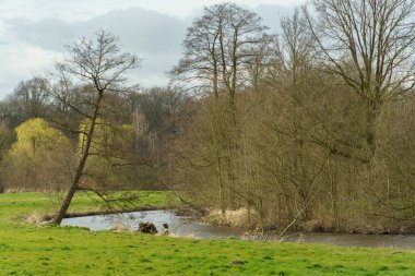 Alman Muensterland 'inde bahar vakti güneşli bir gün.,