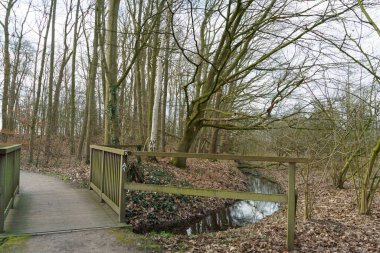 Alman Muensterland 'inde bahar vakti güneşli bir gün.,