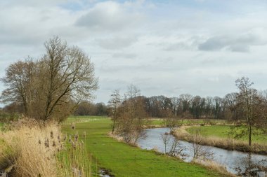 Alman Muensterland 'inde bahar vakti güneşli bir gün.,