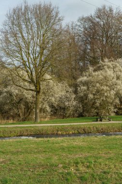 Alman Muensterland 'inde bahar vakti güneşli bir gün.,