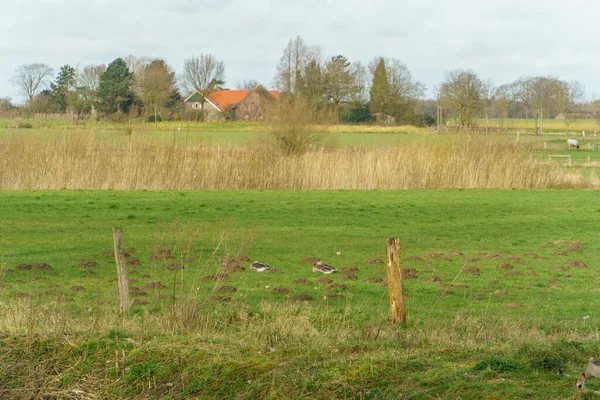 Sonniger Frühlingstag Münsterland — Stockfoto