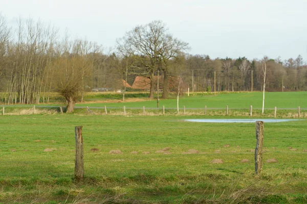 Zonnige Dag Het Voorjaar Het Duitse Muensterland — Stockfoto