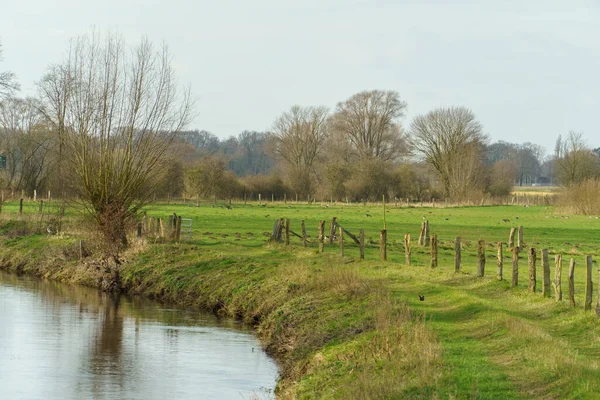 Alman Muensterland Inde Bahar Vakti Güneşli Bir Gün — Stok fotoğraf