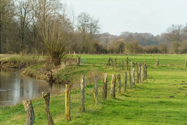 Sonniger Frühlingstag Münsterland — Stockfoto