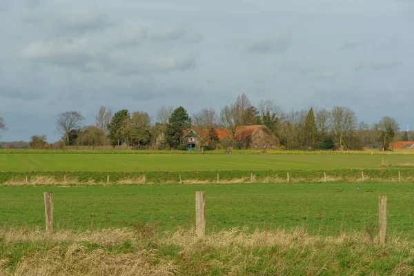 Sonniger Frühlingstag Münsterland — Stockfoto