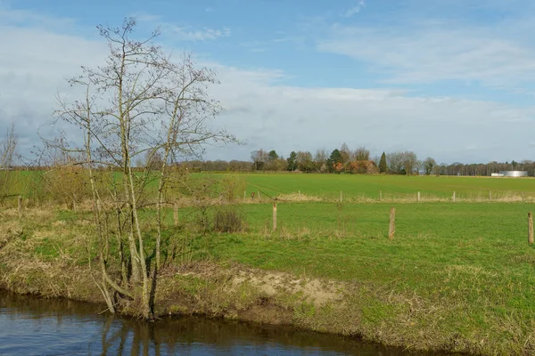 Solig Dag Våren Tyska Muensterland — Stockfoto