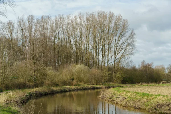 Słoneczny Dzień Wiosną Niemieckim Muensterland — Zdjęcie stockowe