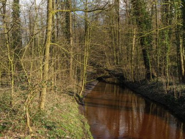 Alman Muensterland 'inde bahar vakti güneşli bir gün.,