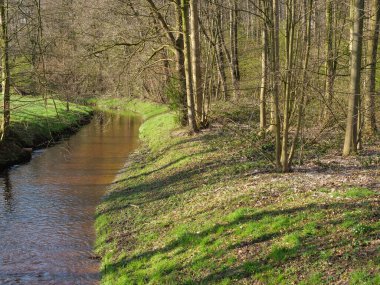 Alman Muensterland 'inde bahar vakti güneşli bir gün.,