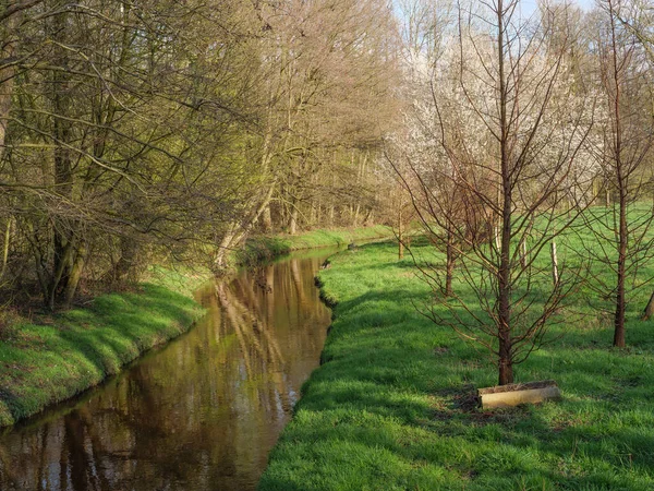 Solig Dag Våren Tyska Muensterland — Stockfoto