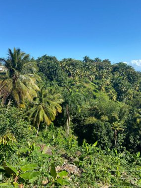 Doğu Karayipler 'deki güzel plajlar ve yerler