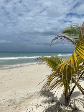 Doğu Karayipler 'deki güzel plajlar ve yerler