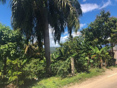 Doğu Karayipler 'deki güzel plajlar ve yerler