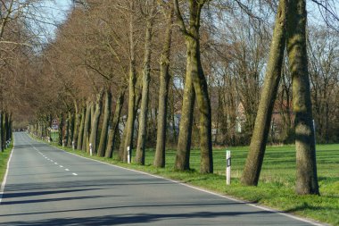 Almanya 'da baharda güneşli bir gün