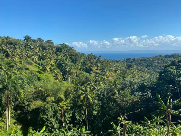 Doğu Karayipler 'deki güzel plajlar ve yerler