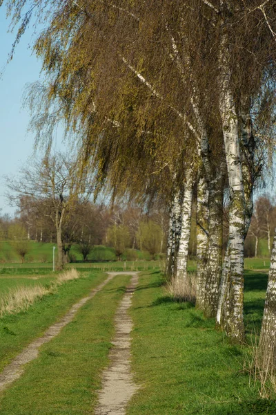 Zonnige Dag Lente Duitsland — Stockfoto