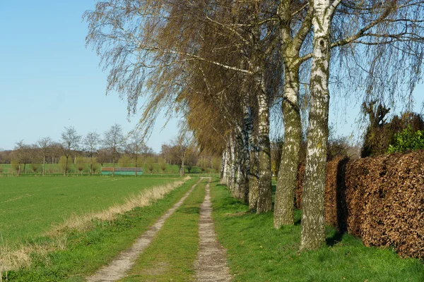 Journée Ensoleillée Printemps Allemagne — Photo