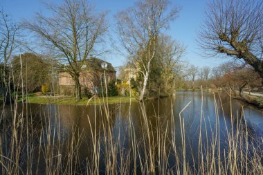 Alman muensterland 'inde bahar zamanı kaleler ve ağaçlar