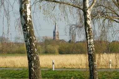 Alman muensterland 'inde bahar zamanı kaleler ve ağaçlar