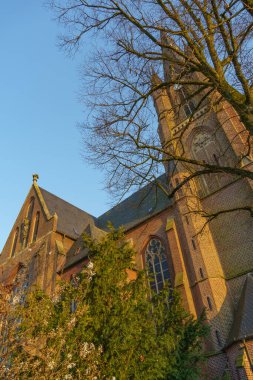 Alman Muensterland 'inde bahar geldi.