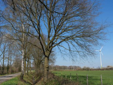Alman Muensterland 'inde bahar geldi.