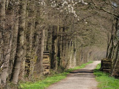 Alman Muensterland 'inde bahar geldi.