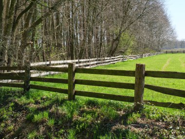Alman Muensterland 'inde bahar geldi.
